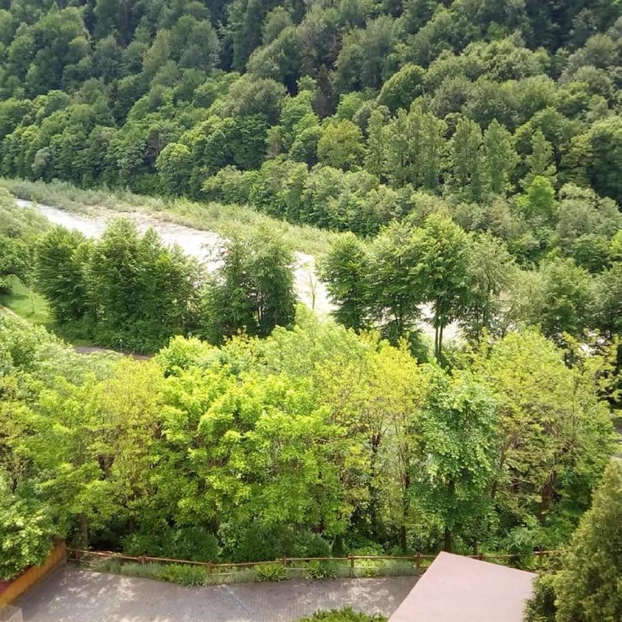 Malyvo Hotel Deljatin Kültér fotó